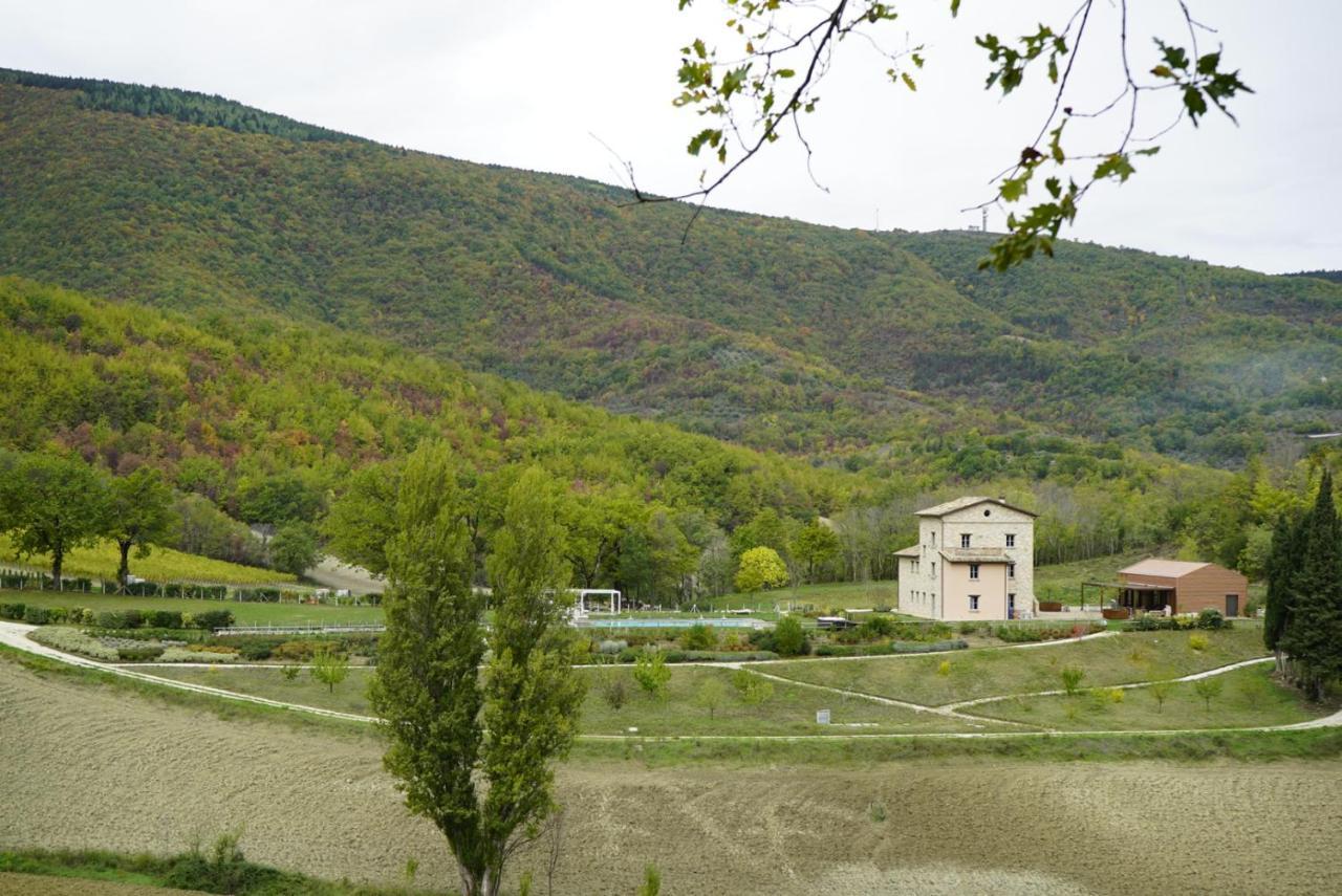 Colle Casini Cortesi Alojamento de Acomodação e Pequeno-almoço Caldarola
