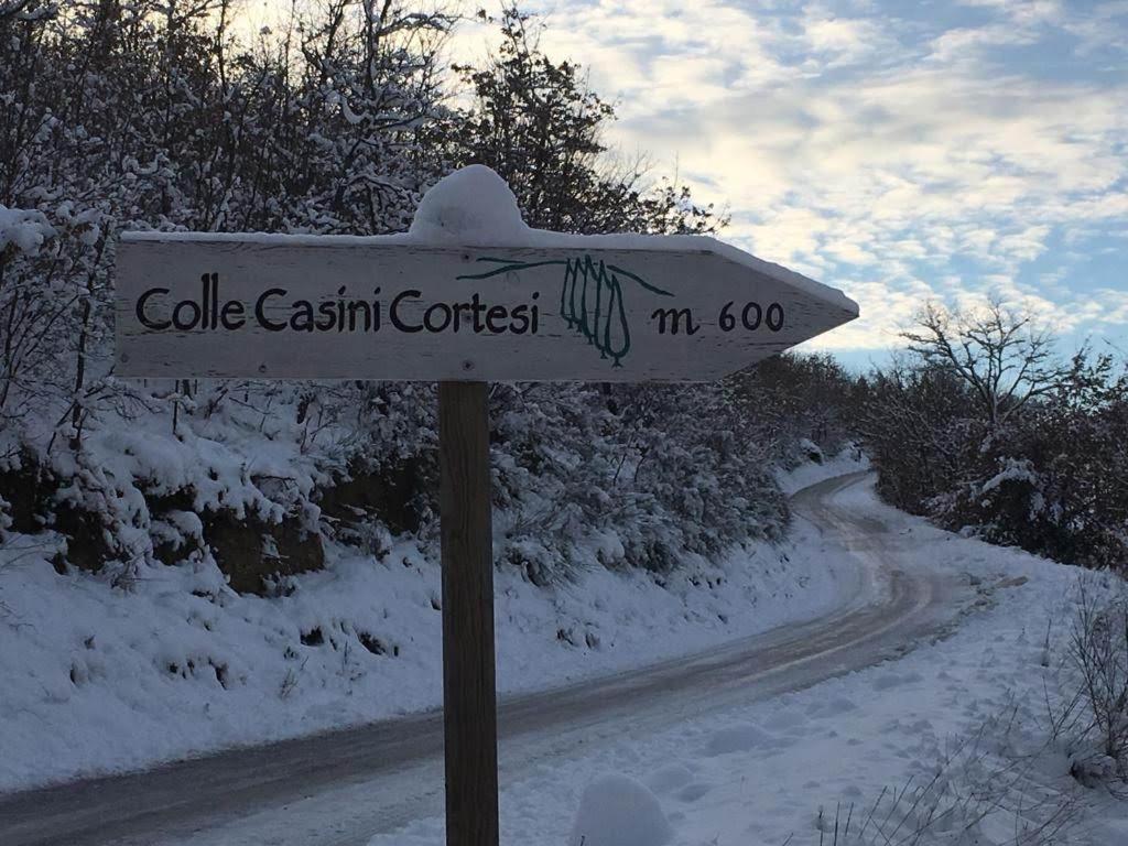 Colle Casini Cortesi